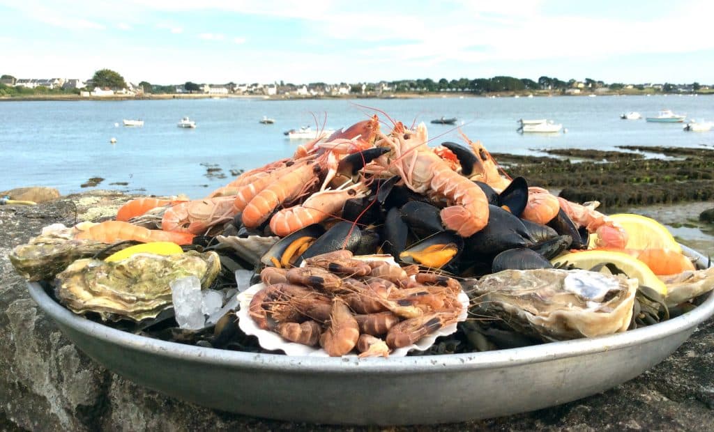 Dégustation de plateau de fruits de mer à St Guillaume dans le Morbihan